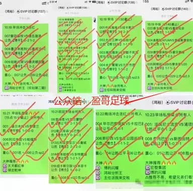 亚冠精英赛异质对决：柔佛新山VS上海申花——东南亚热浪与中超铁血的遭遇战_比赛_主场_进攻